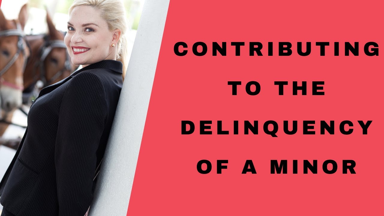 SC: Contributing to the delinquency of a minor / Carolina Lady Lawyer