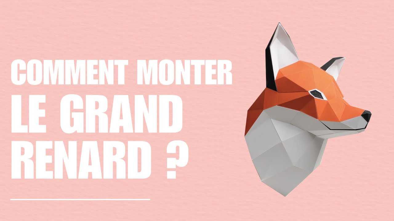 Montage du grand renard