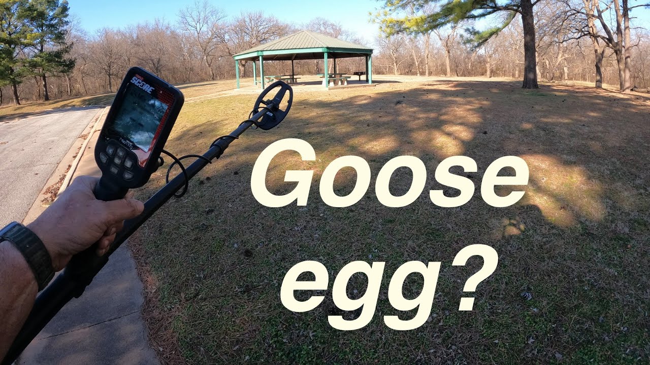 Goose egg?  Nokta triple score