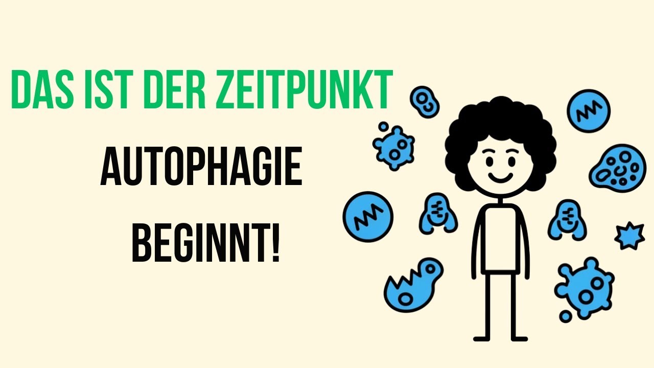 Wie lange kannst du fasten, bevor die Autophagie ausgelöst wird? (Wissenschaftlich erklärt)