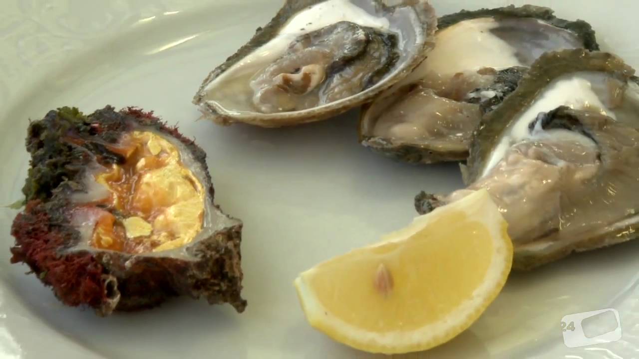 Croatia: Mali Ston Oysters