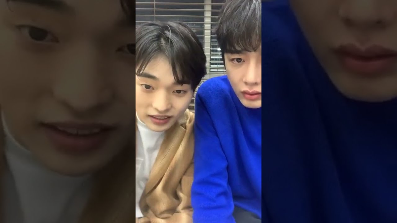 【겨울지나벚꽃】❄🌸 인스타 라이브 영상