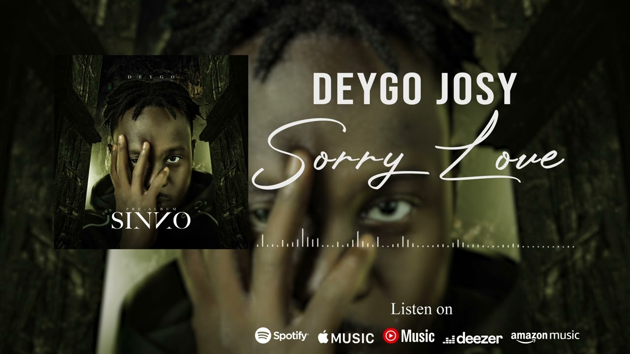 Sorry Love - Deygo Josy (Visualiser)