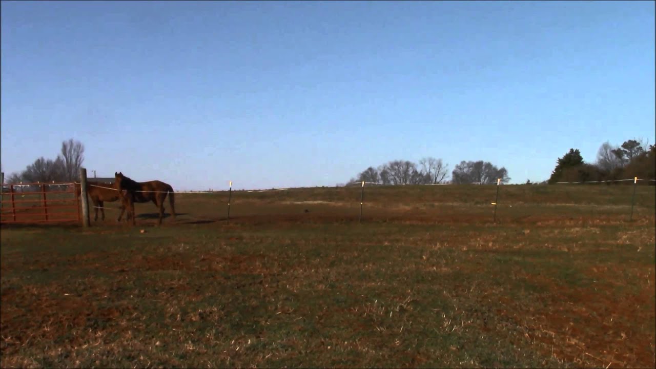 Pacing Video