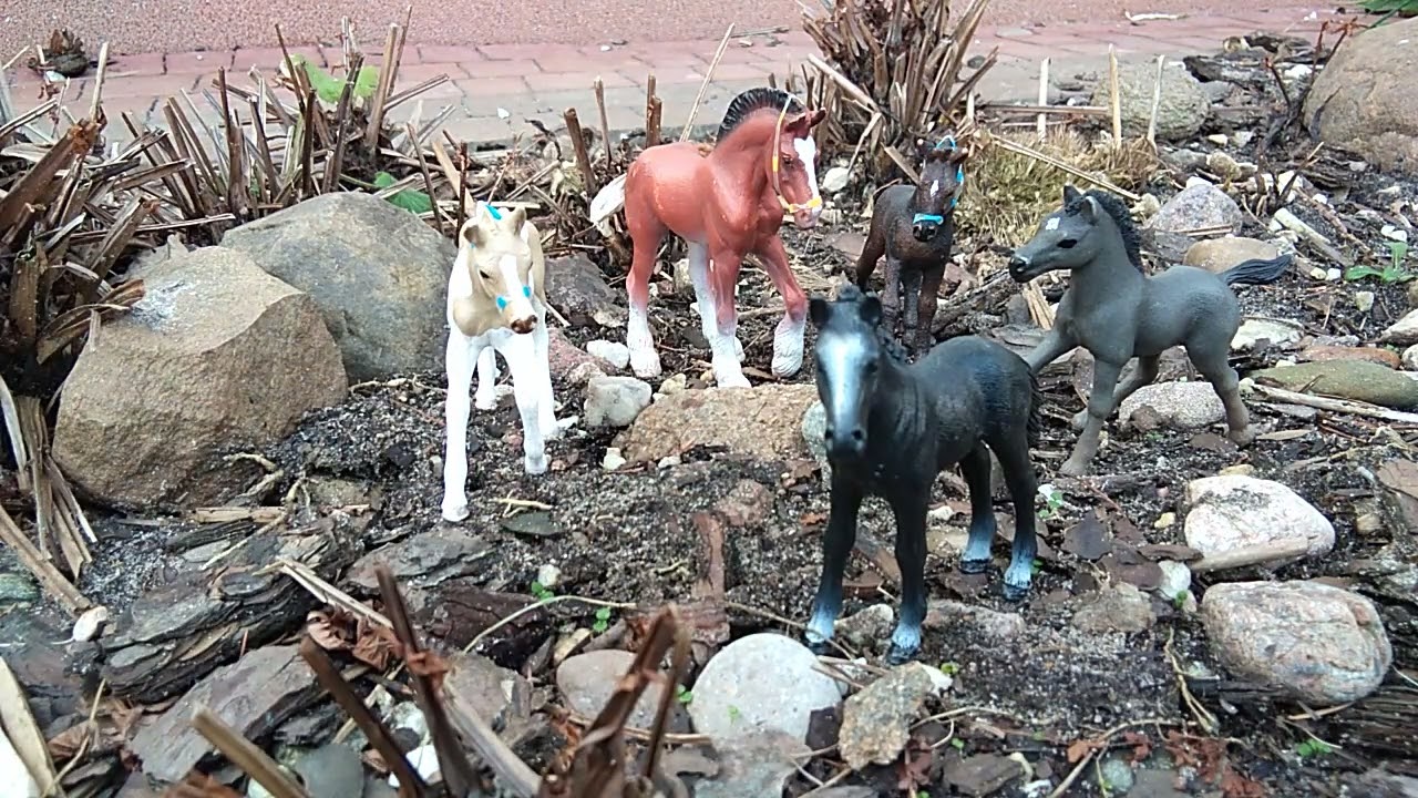 PRZYGODY WE WRZOSOWEJ STAJNI || KONIE SCHLEICH || UCIECZKA