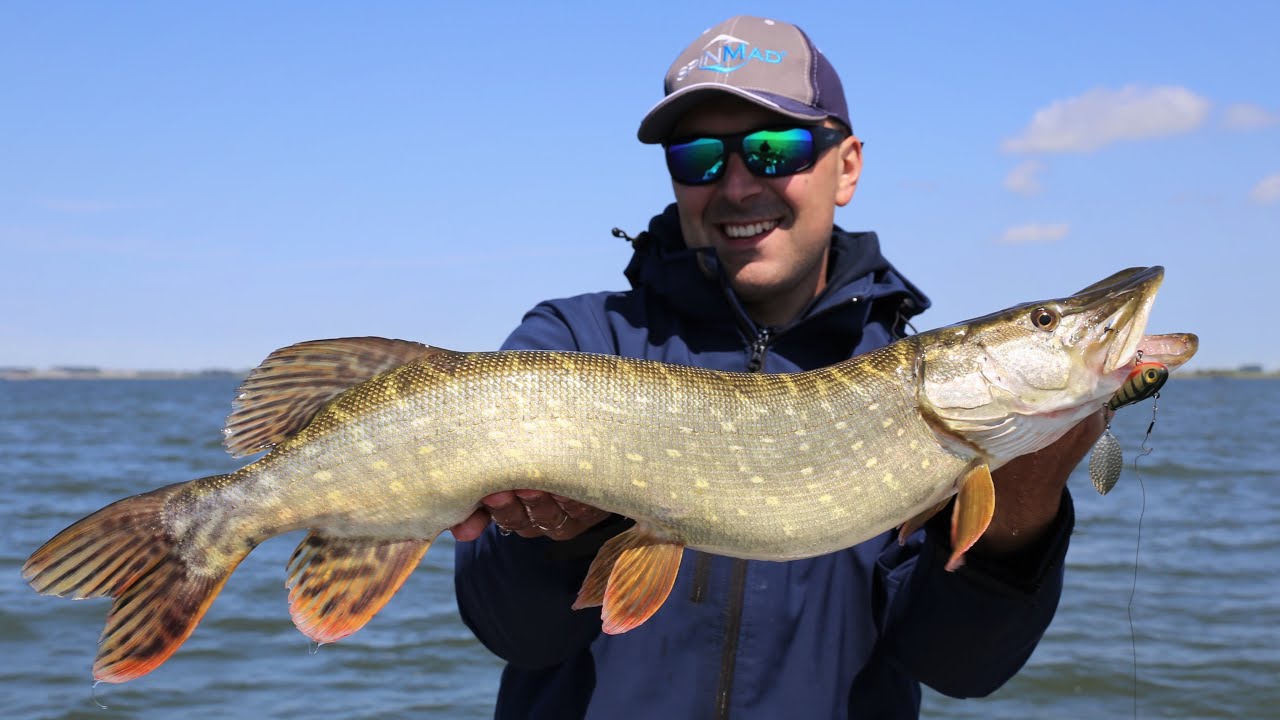 SPINMAD JIGMASTER 24G | Summer pike fishing