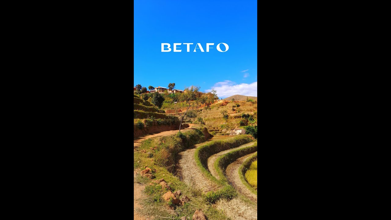 Luigi's #Shorts: Betafo - Madagascar