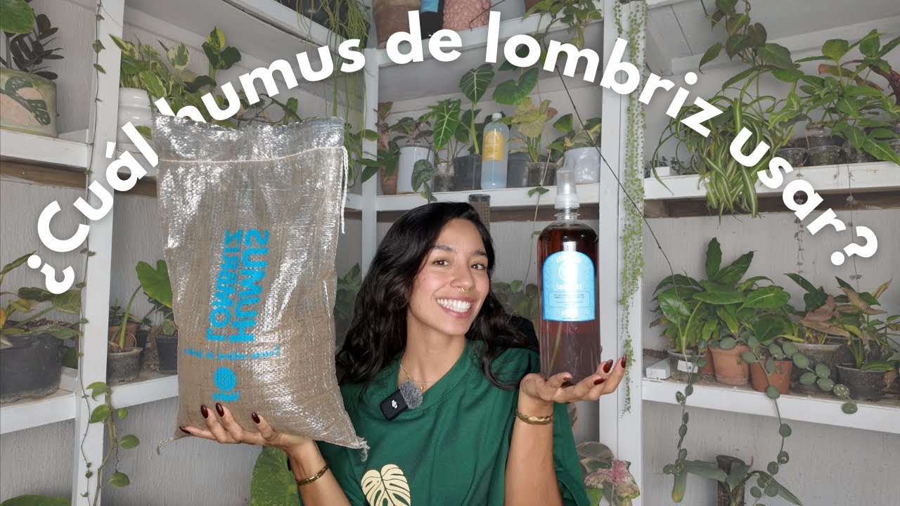 ¿Cuál humus de lombriz usar? Explicación fácil para tus plantas 🌱