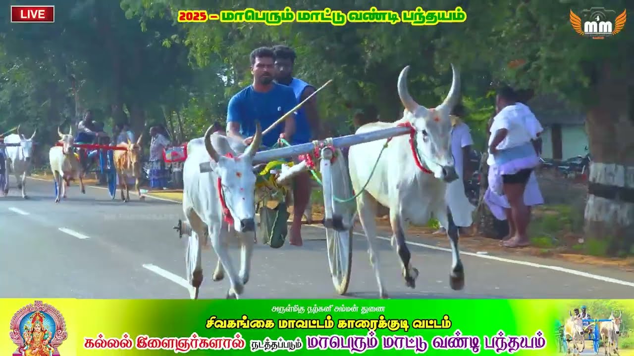 கல்லல் சிறப்பான மாட்டுவண்டி  வண்டி பத்தாயம் 2025