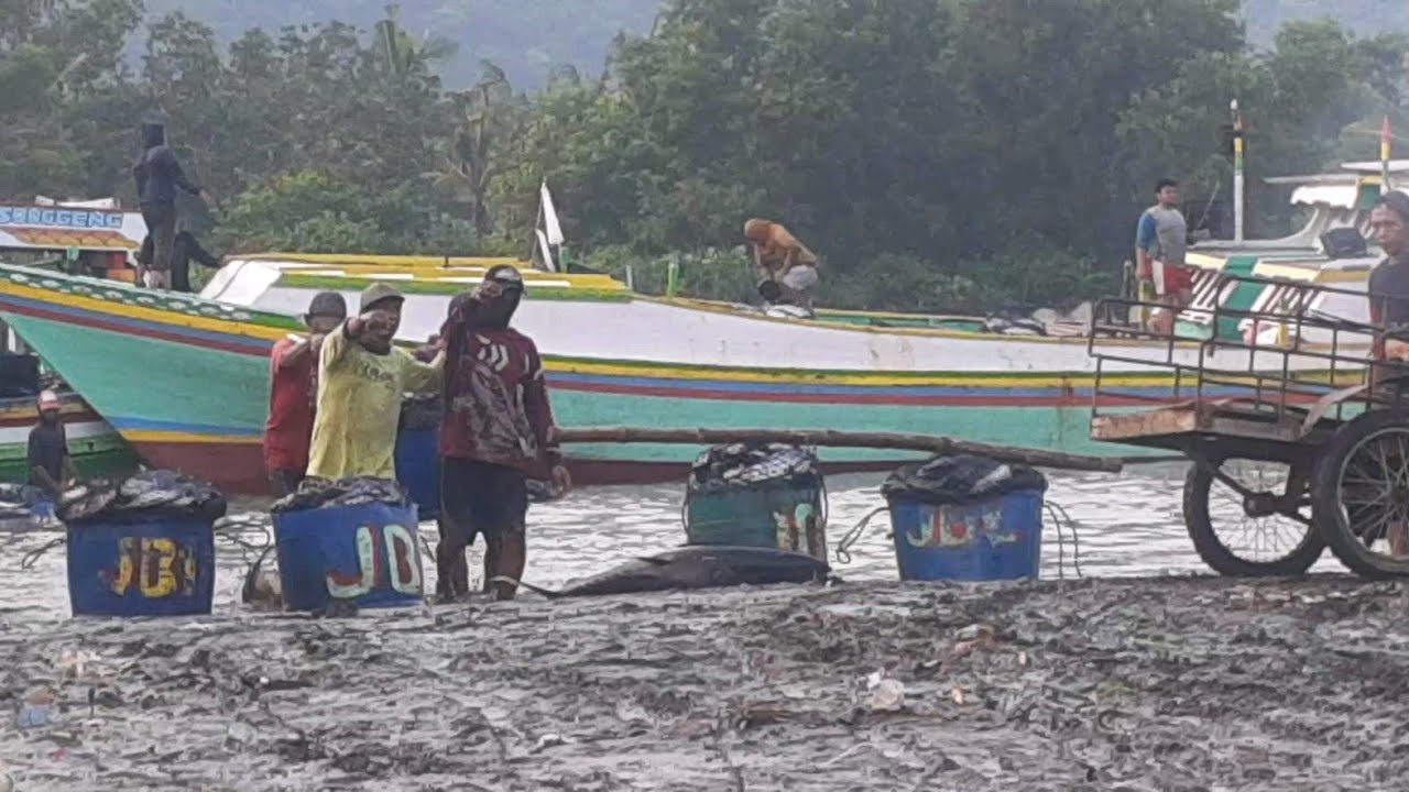 UPDATE TERBARU !! NELAYAN PUGER, PAGI YG INDAH..15/3/2026 @Perahu-puger 