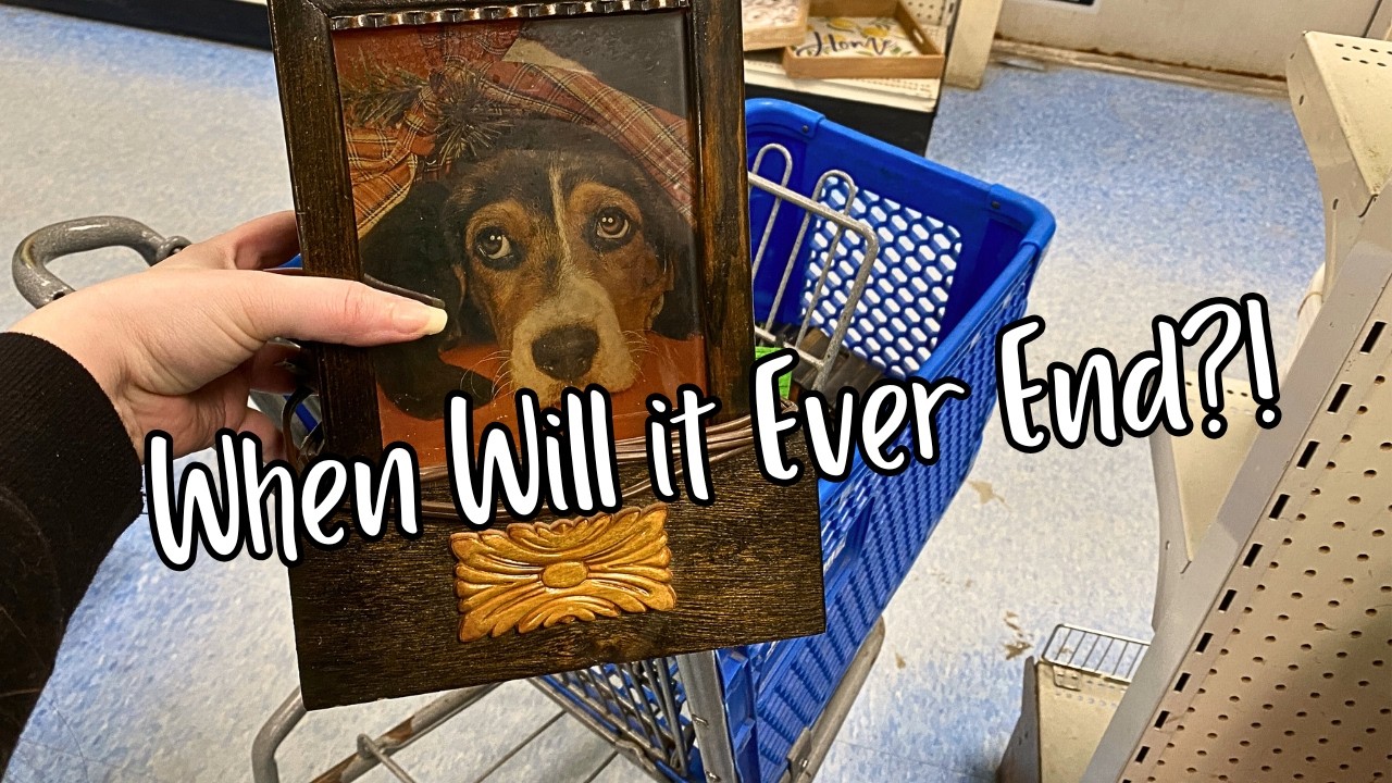 Посещайте магазины секонд-хенда Goodwill вместе со мной! Когда это наконец закончится?