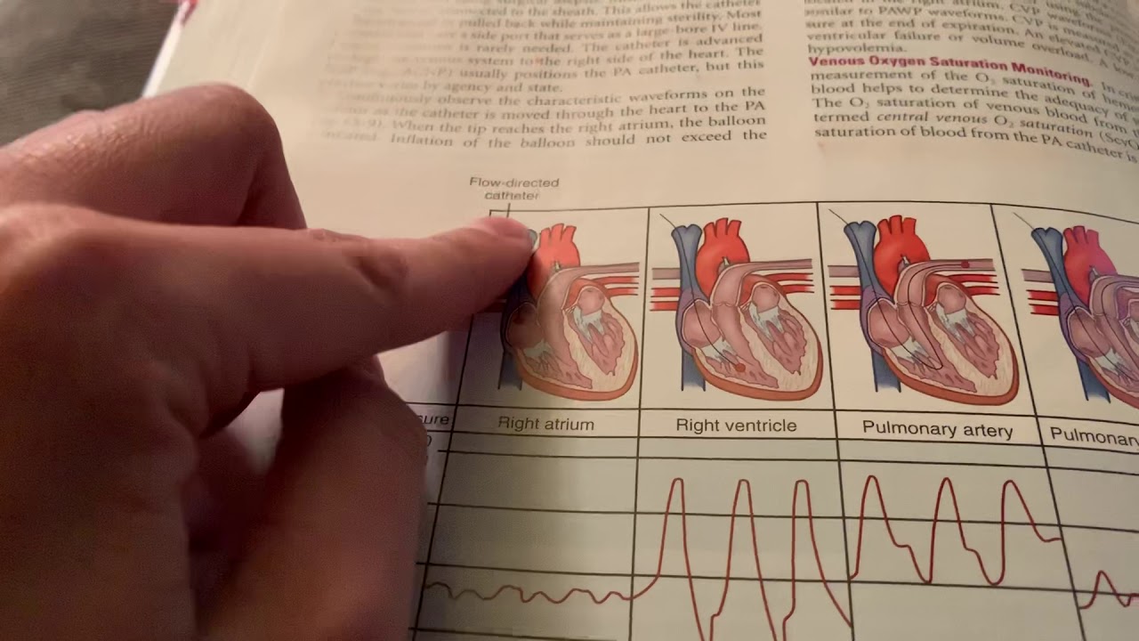 ASMR study with me! Inaudible/mumble