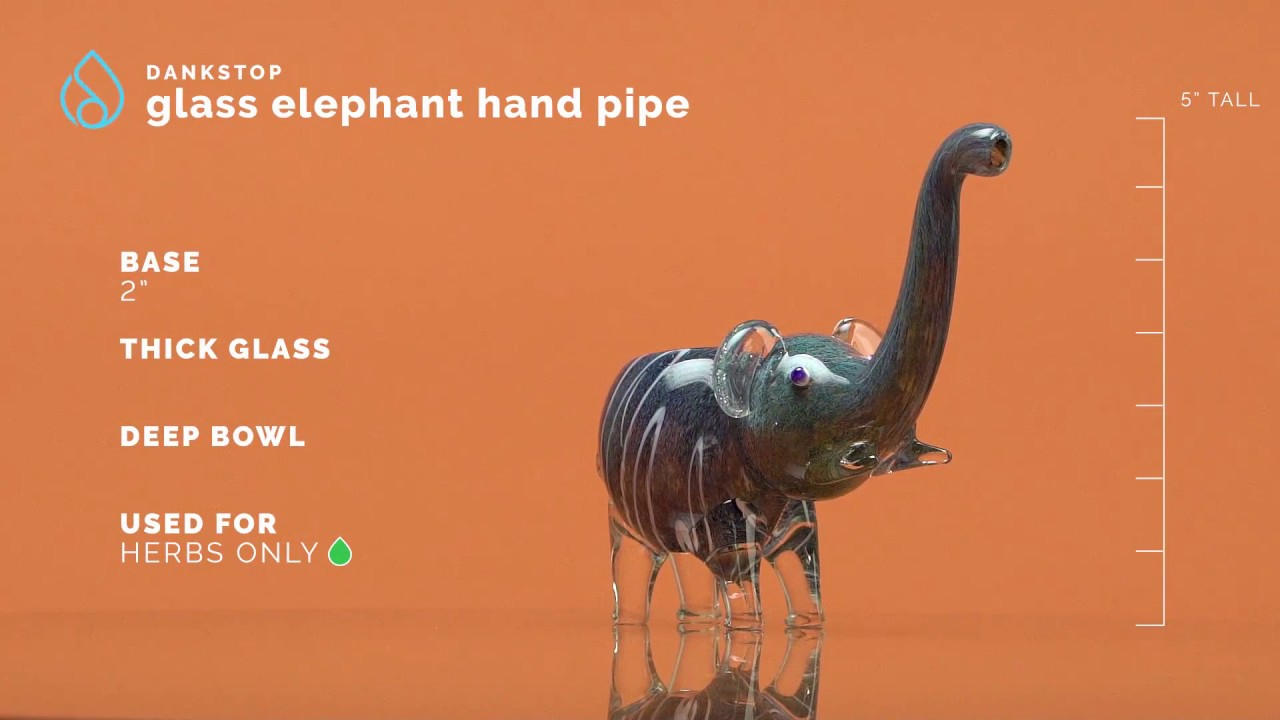 Dankstop - Glass Elephant Hand Pipe