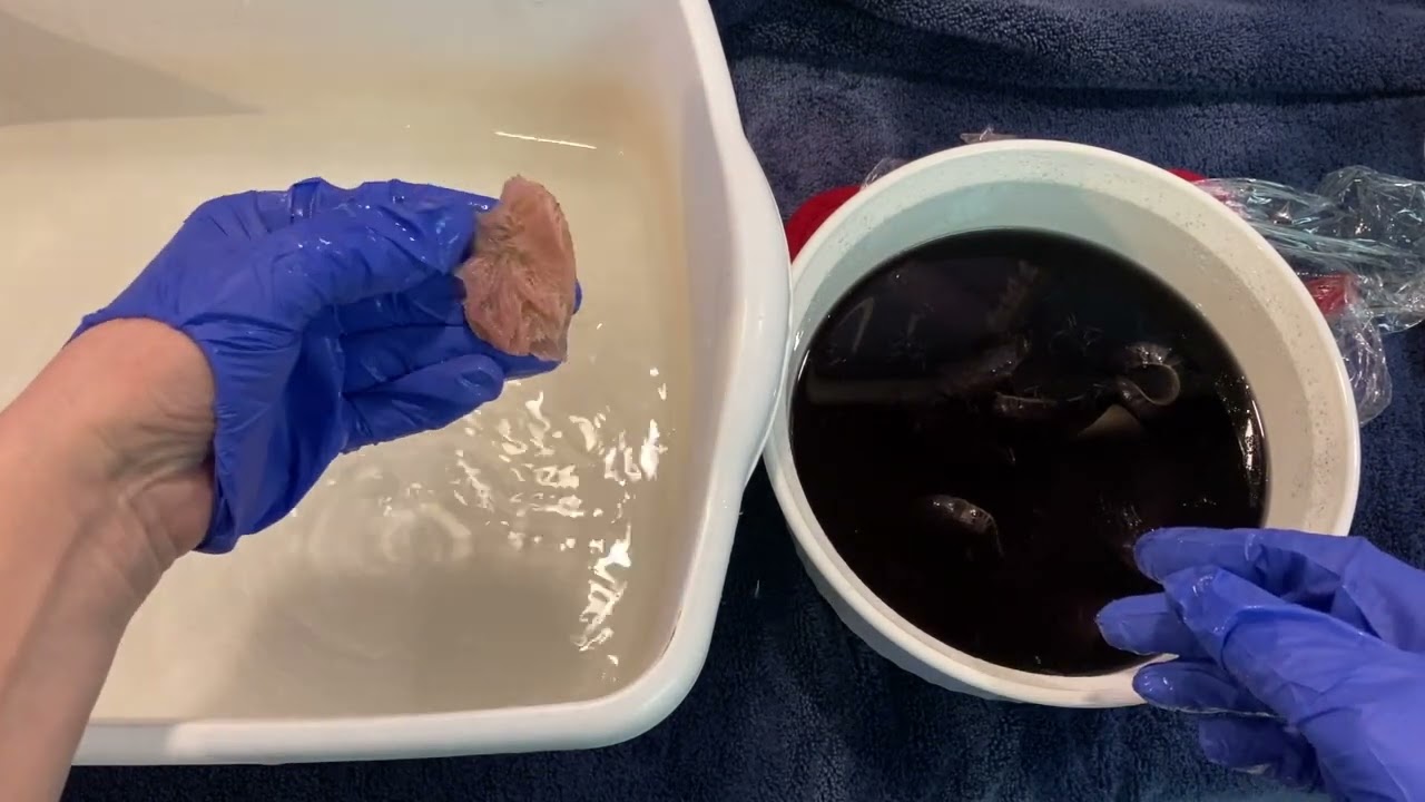 Dyeing Teddy Bear Mohair Fur with Kool Aid Part 3