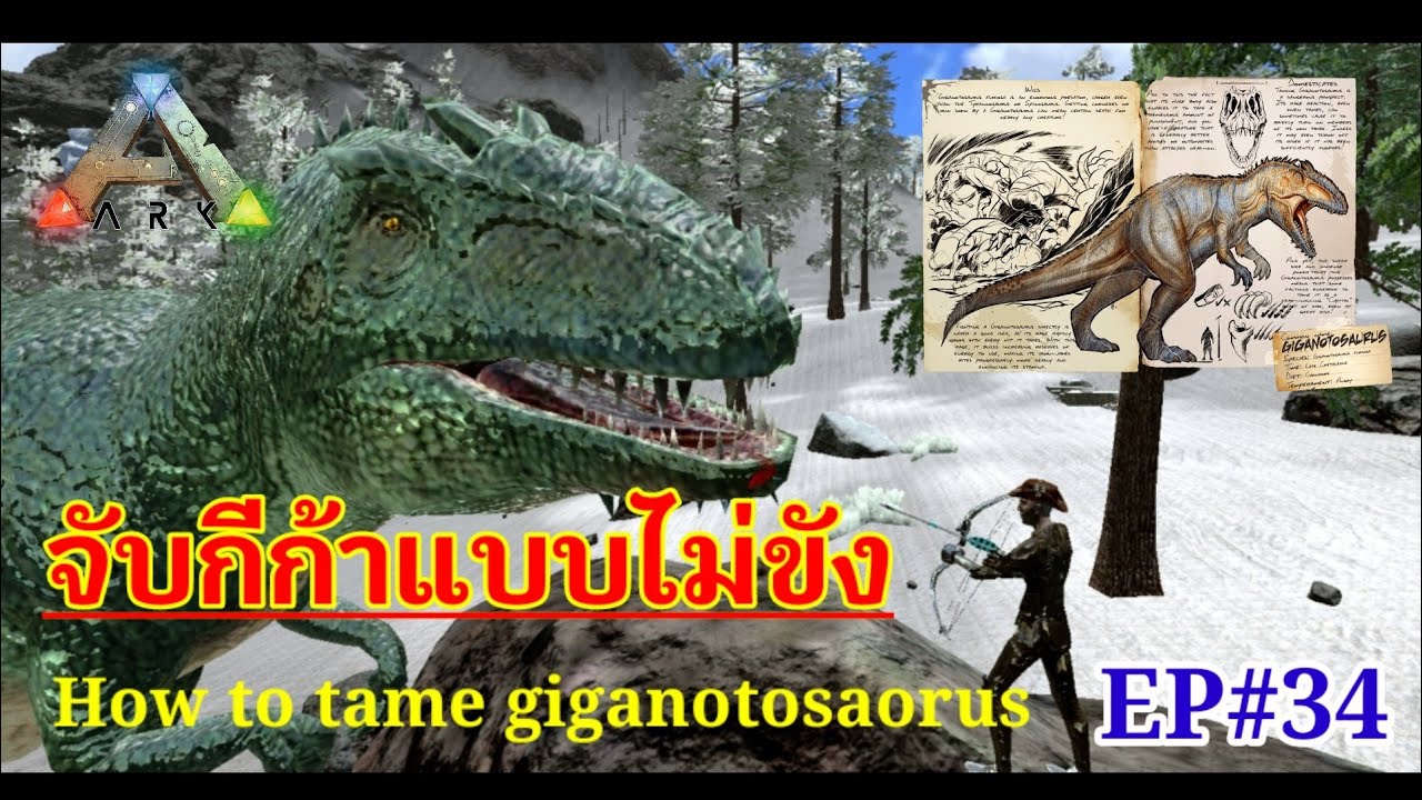 #ARKMOBILE EP#34 เทคนิคจับกีก้าแบบไม่ล็อกขา-ไม่ต้องอยู่ที่สูง/How to tame Giganotosaurus #Servival