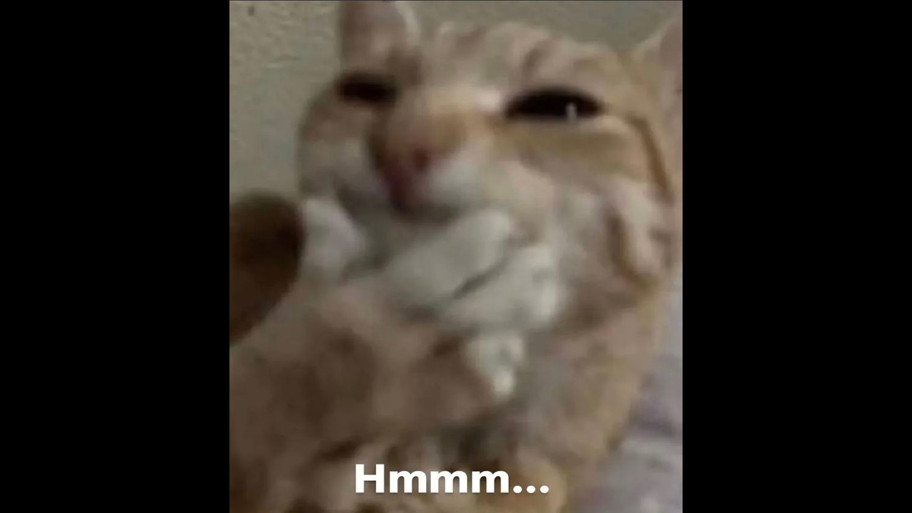 memes that scared the monster under the bed