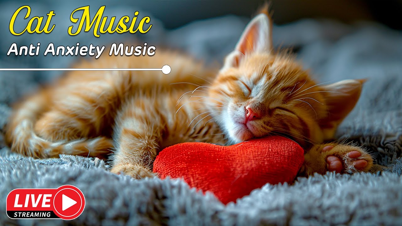 12 Hours Sleep Music for Cats 🐈 Calming Music for Cats No Ads ♬ Sleep Music for Anxious Cats