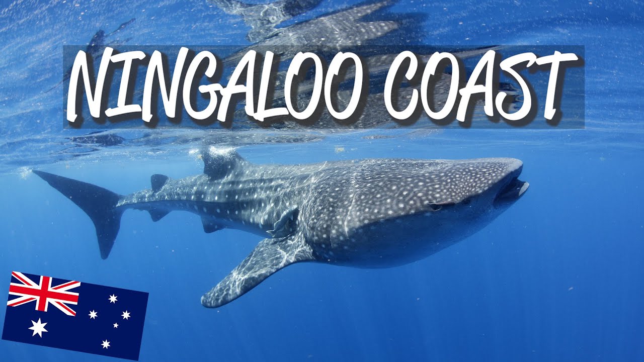 Ningaloo Coast - UNESCO World Heritage Site