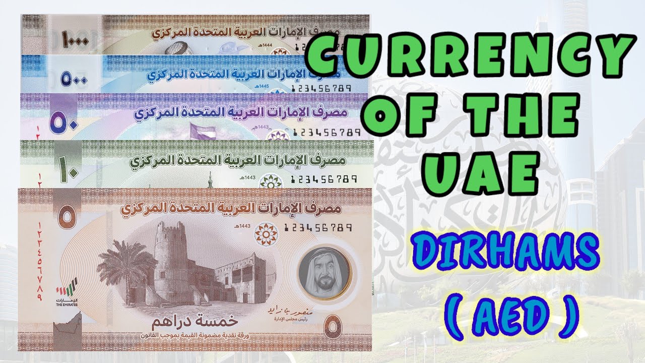 Currency of the UAE | Polymer vs Paper notes | 1000 500 50 10 5 AED | Plastic notes Collections |