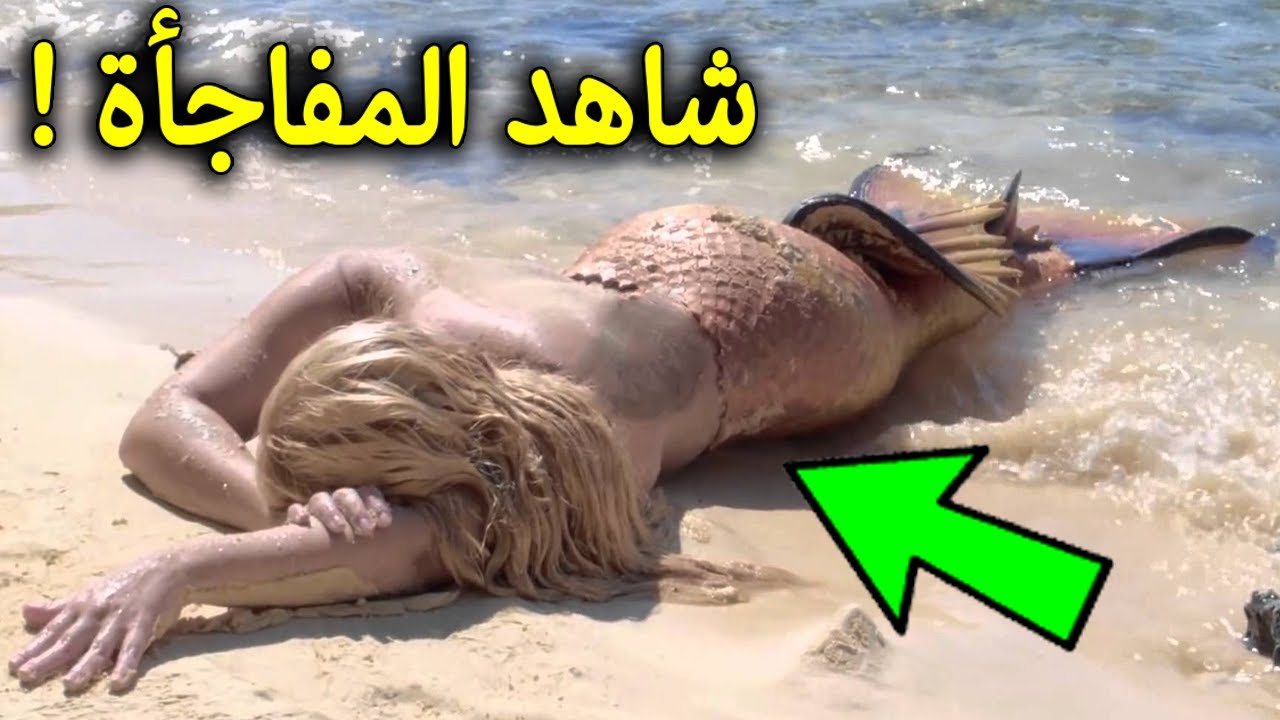 شاهد ظهور حورية البحر على الشاطئ ولكن ما فعلته كان صادم للغايه ! فماذا فعلت