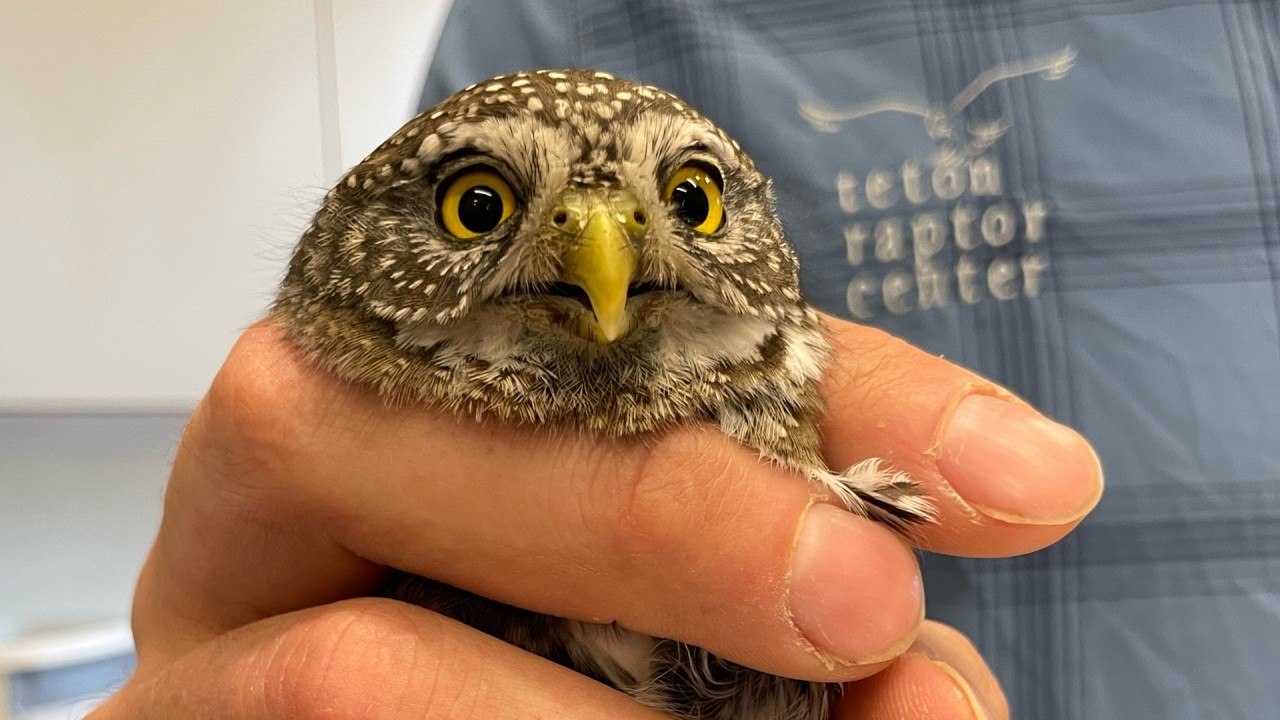 Patient Update 2-13-26