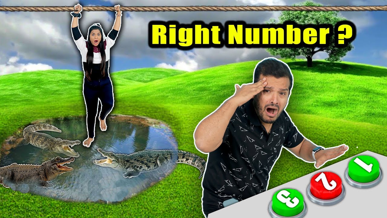 Choose The Right Number Challenge | Hungry Birds