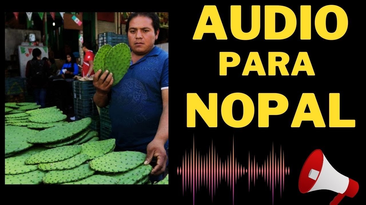 📢AUDIO para Vender NOPAL 🌵
