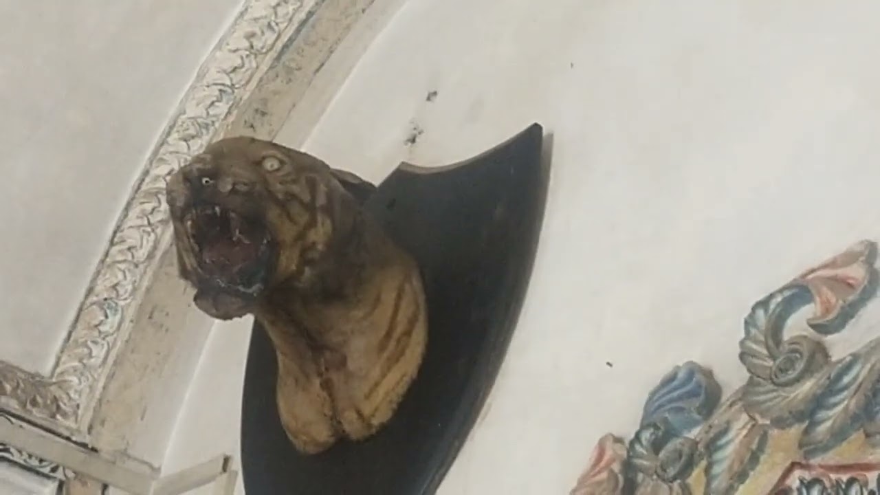 #treanding #viral #vlog #funny #hristri