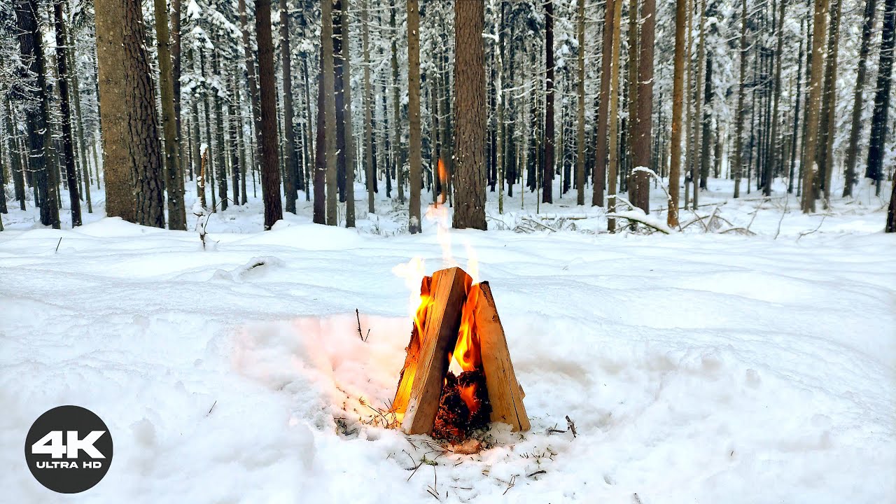 ❄️ 4K Lithuanian Snow Forest Campfire | 3 Hours Real Fire Sounds for Sleep & Focus (No AI)