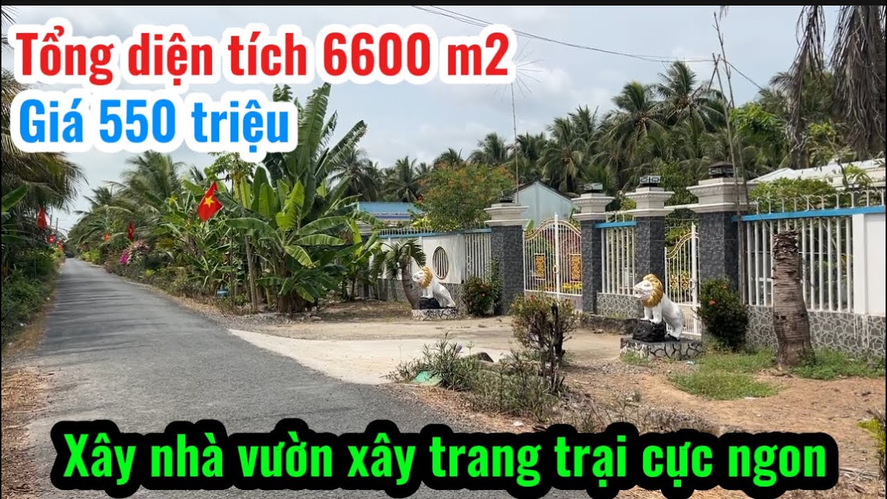 T.3228 quá trời mặt tiền đường nhựa xe tải 6600 m2 đất thích hợp mở trang trại 550 triệu quá rẻ 