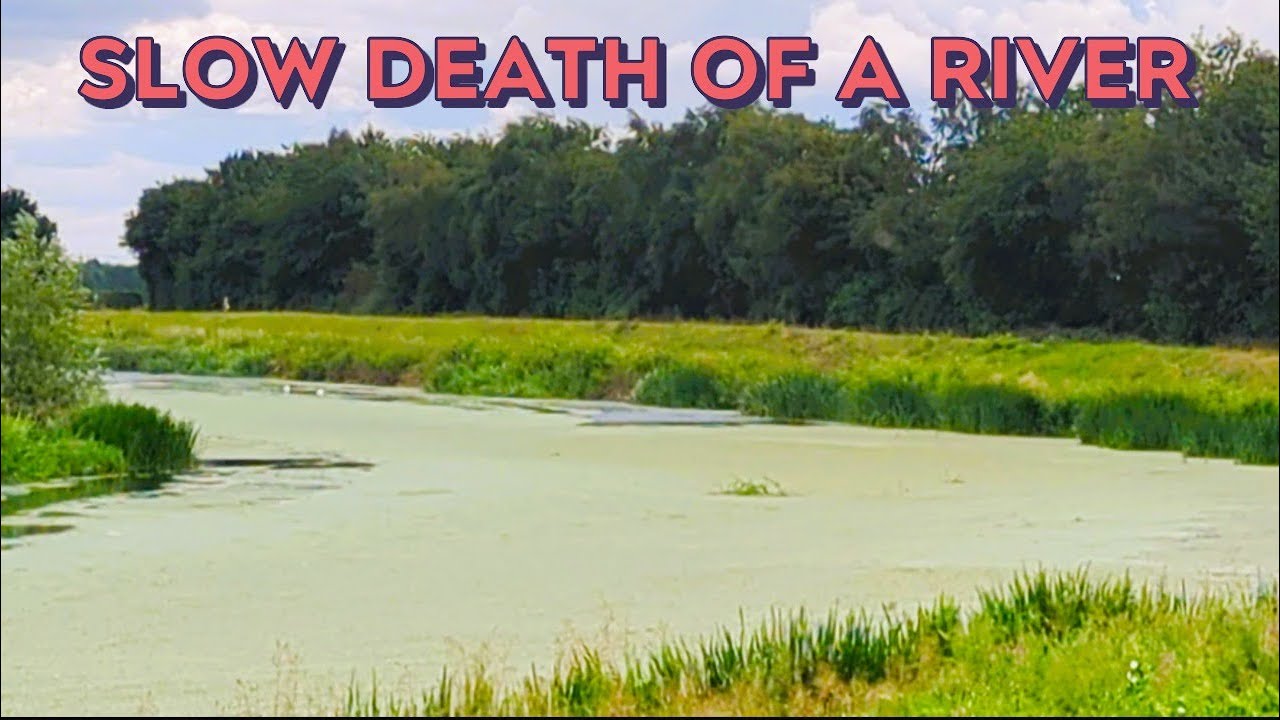Are Lincolnshire's rivers and drains dying a slow death
