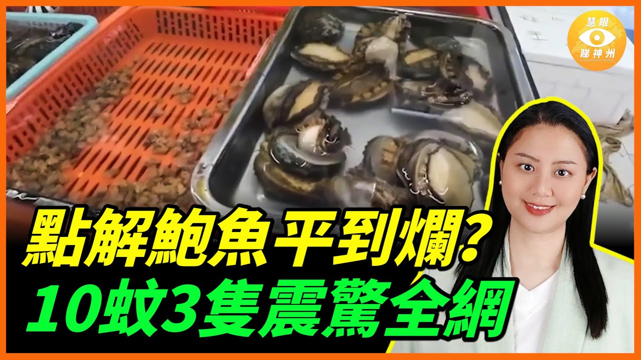 從奢侈品到地攤貨！10蚊3隻鮑魚震驚全網，點解鮑魚平到爛？