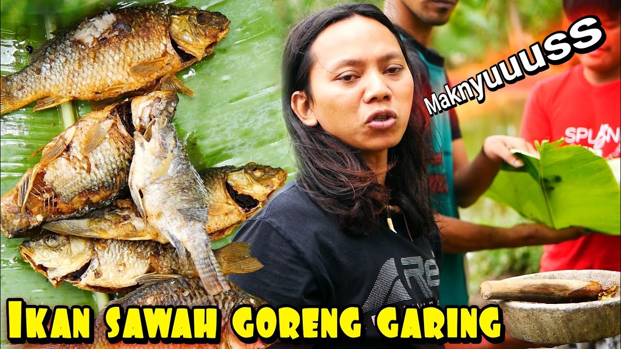 OLAHAN IKAN GORENG SAMBAL CIKUR AUTO PADA KETAGIHAN