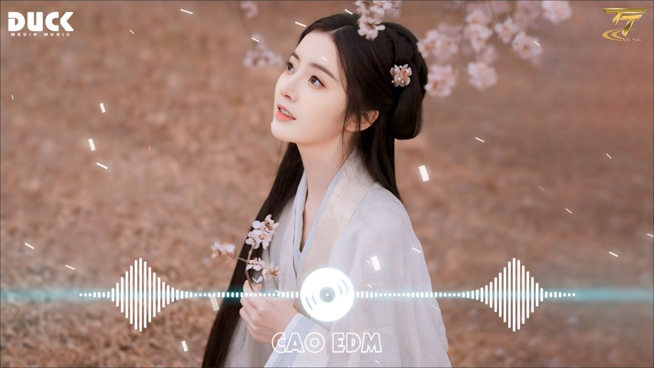 LK Nhạc Hoa Lời Việt Remix Hay Nhất 2025 ♫ Nhạc TikTok Trung Quốc Lời Việt Remix