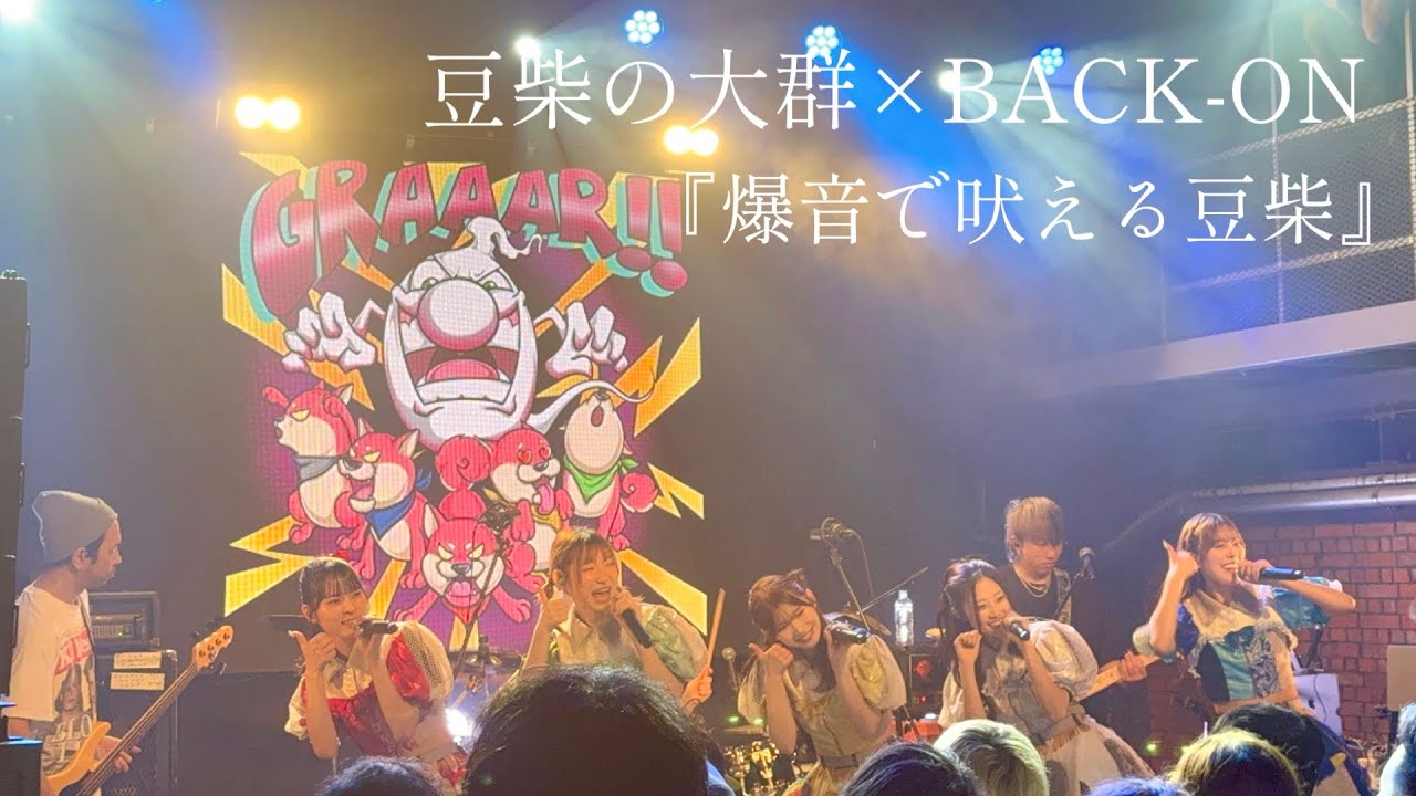 【豆柴の大群×BACK-ON】 『爆音で吠える豆柴』 at 代官山SPACE ODD 2026/03/06(金)