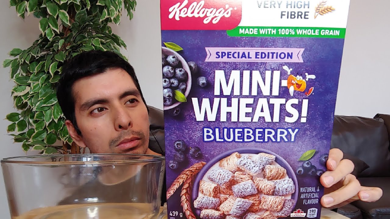 BLUEBERRY MINI WHEATS CEREAL BREAKFAST MUKBANG REVIEW