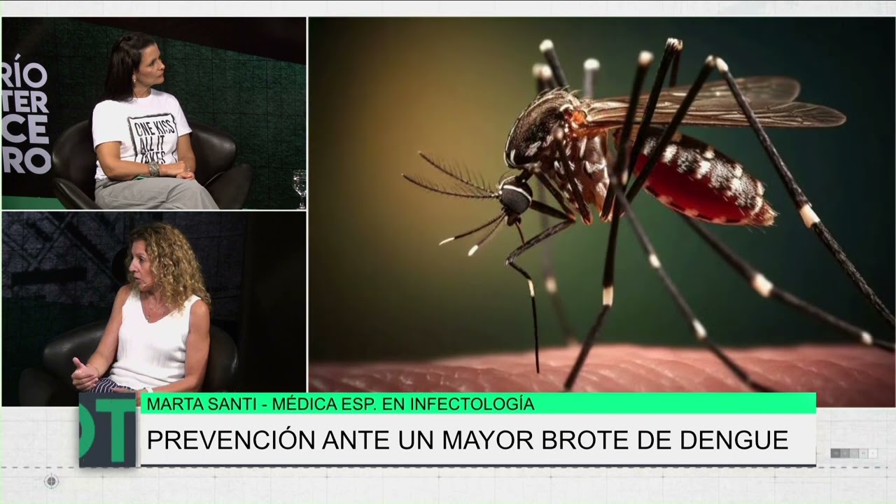 Prevención ante un mayor brote de dengue, Marta Santi