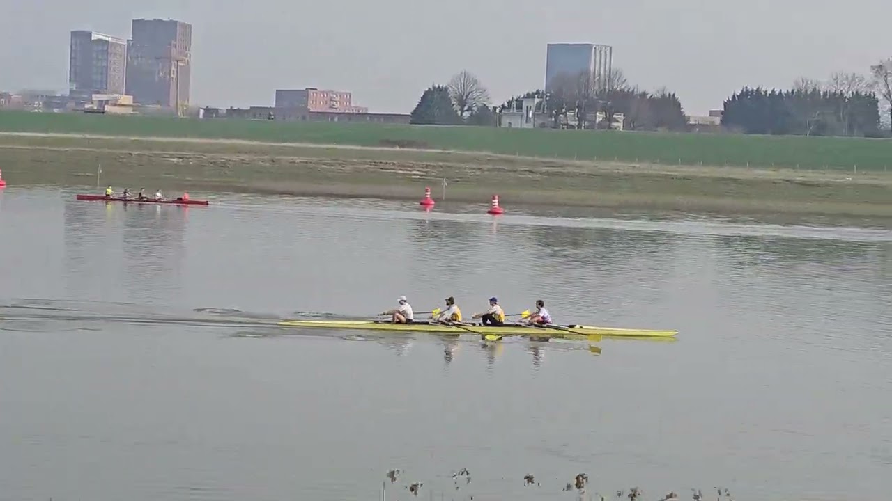Lm4- ws 8-3