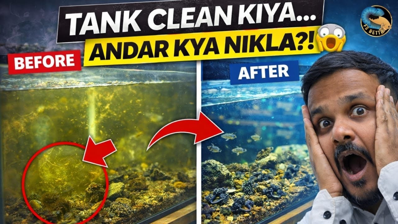 L183 COLONY KA SABSE GANDA TANK | Ramzan with Faizan EP 12