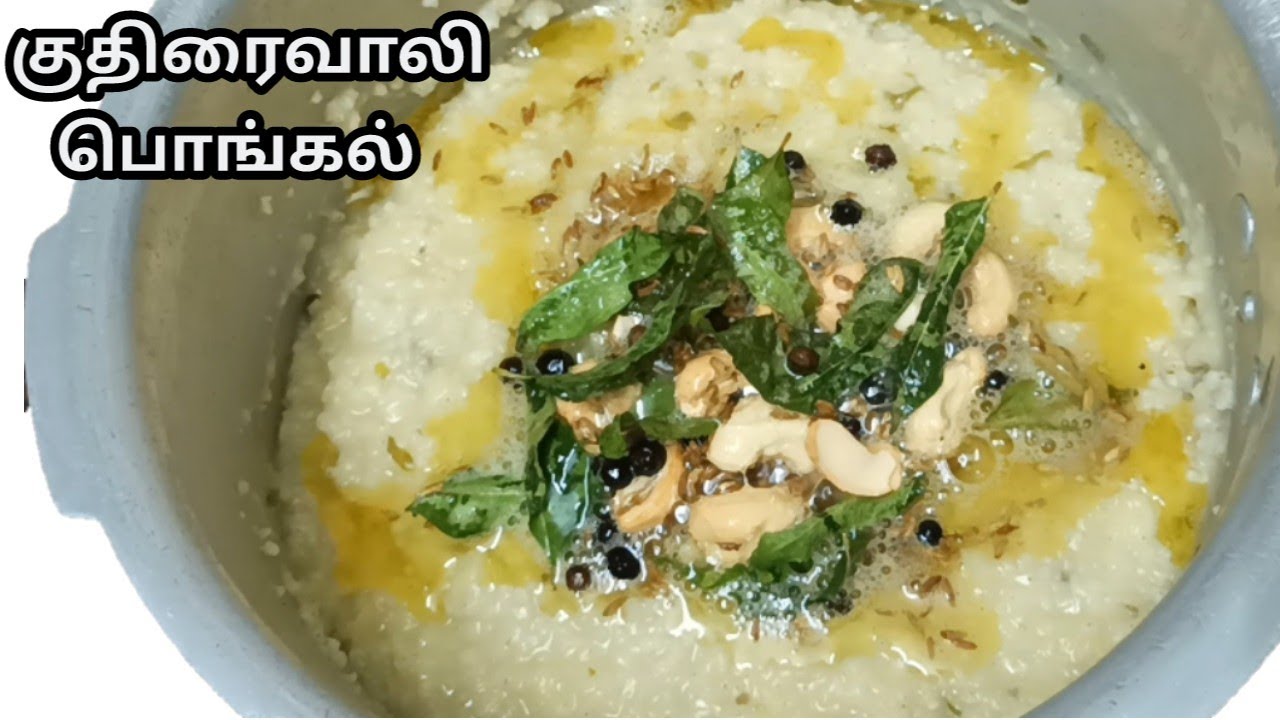 குதிரைவாலி பொங்கல்/Kuthiraivali pongal in tamil/barnyard millet pongal in tamil