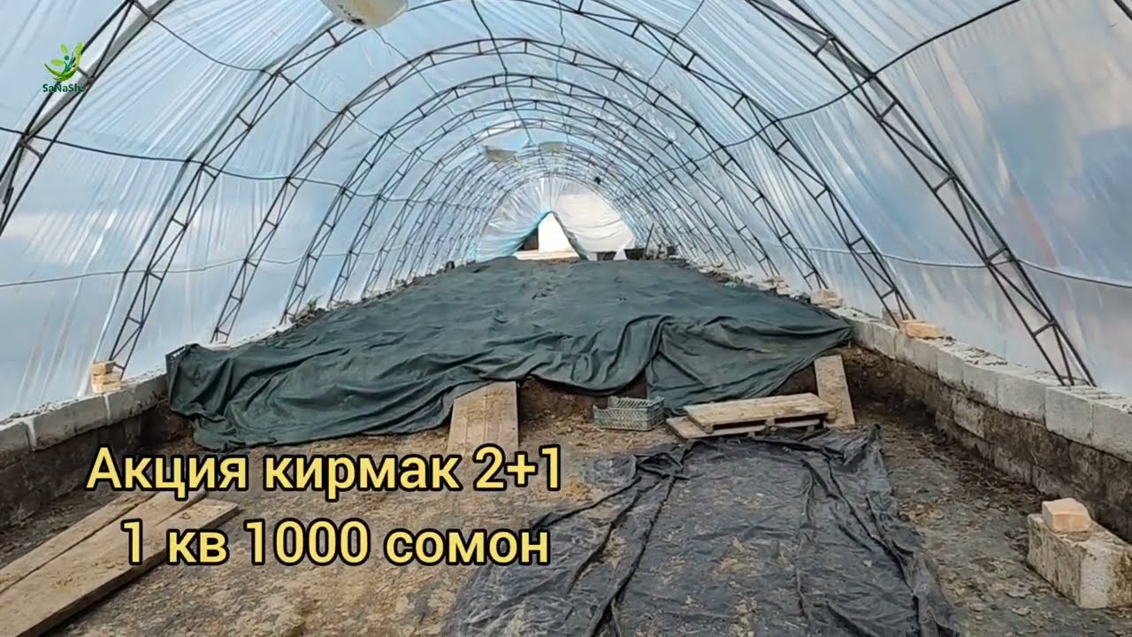 Тарзи биогумус рехтан ба нихоли тарбуз ва акция Биогумус Павловния 