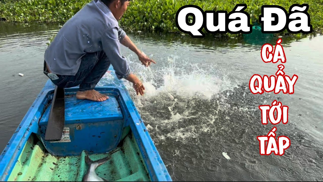 Chuyến Giăng Lưới Dài Nhất Từ Trước Giờ. Cá Tra Quậy Như Vũ Bảo