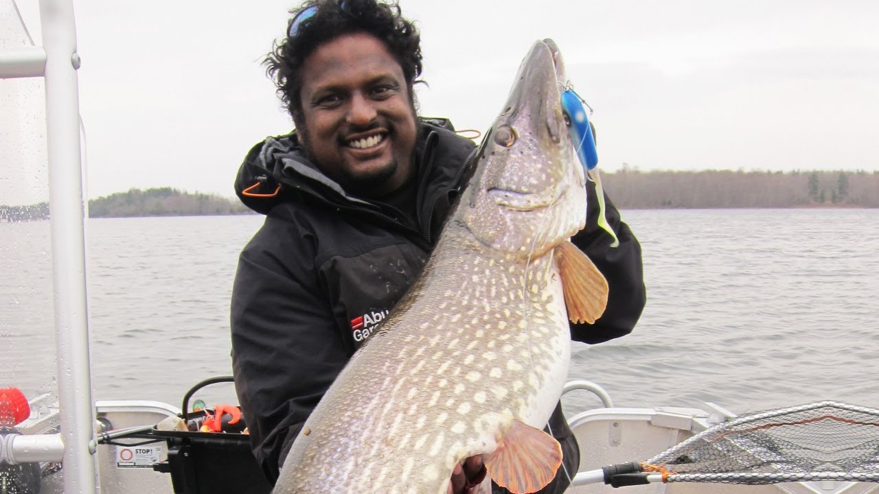G&auml;dda 11 kilo - Med  Claes Svartzonker & Johan Ruhe
