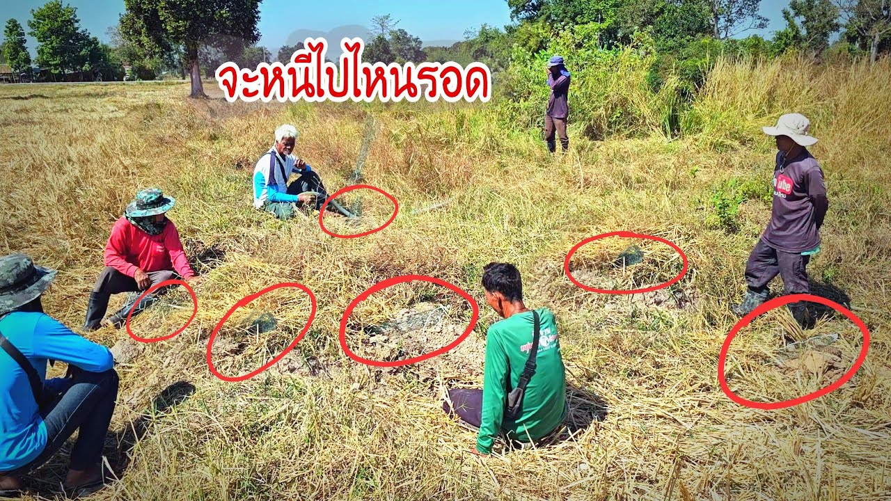 ล่าอาหารป่าโดยใช้อุปกรณ์พิเศษที่สร้างยังไม่เสร็จมาช่วย จ่อหล่อ,ซูด,ฯลฯ ไม่รู้จะเรียกอะไร