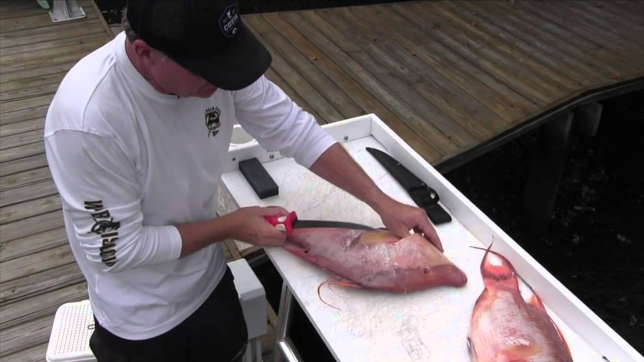 How to Fillet a Hogfish