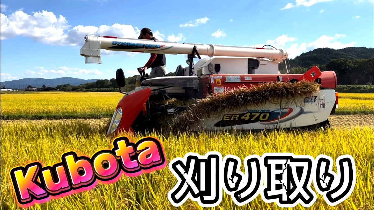 Kubota ER470 クボタの4条70馬力コンバインで刈り取りSTAR🏃‍♂️