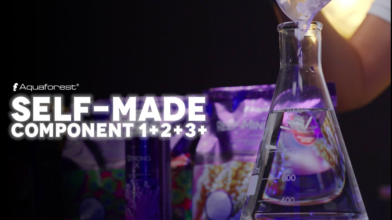 Self-made Component 1+2+3+