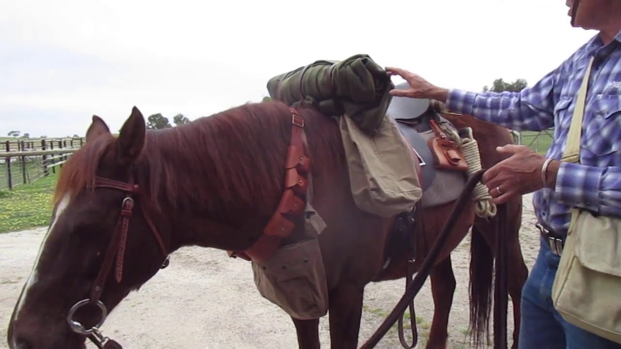 Australian Light Horse. 1914 horse kit.