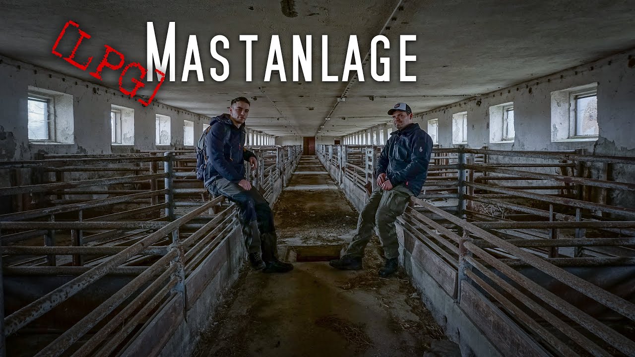 LOSTPLACE | verlassener Stall | Rinder 🐮  und Schweinemast 🐷 | HILLBILLY TV
