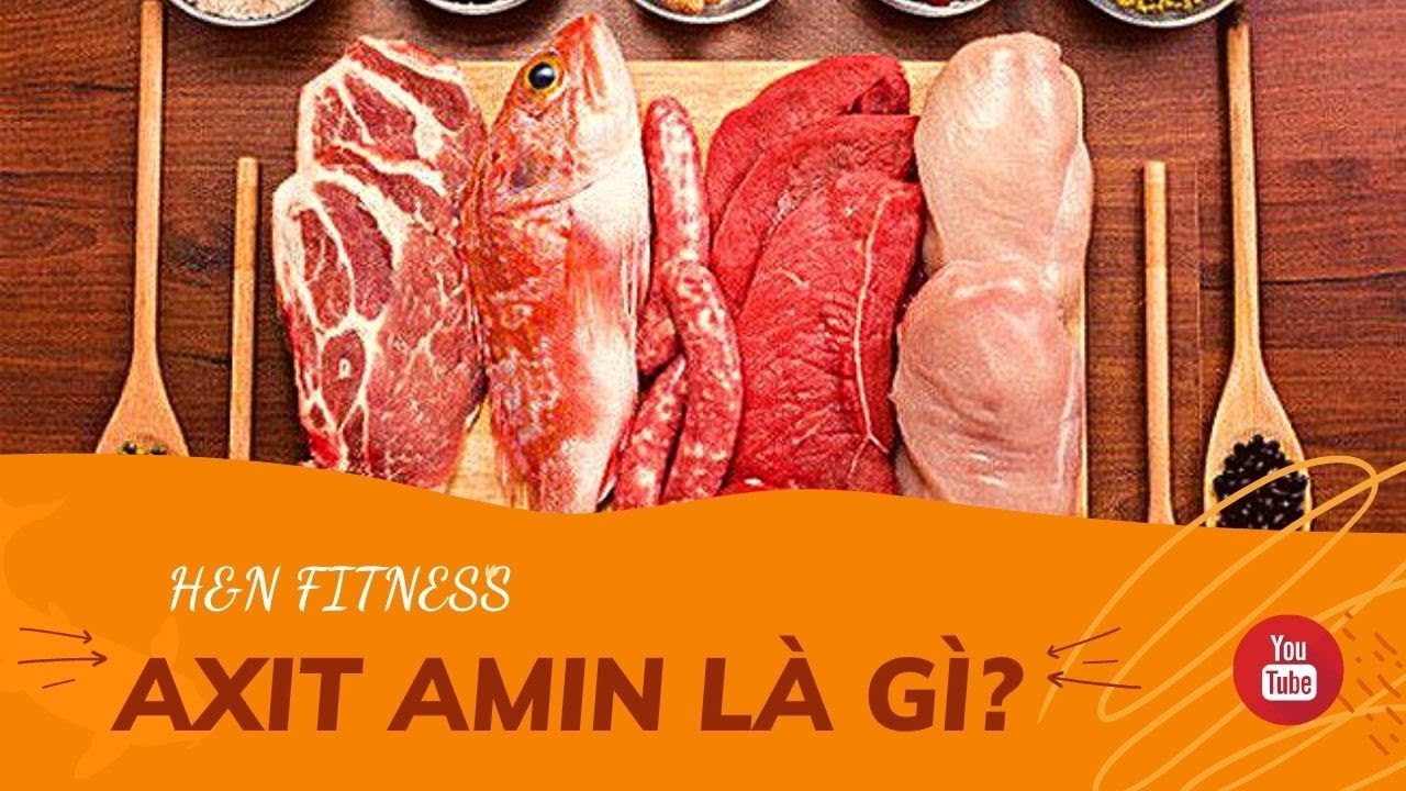 Axit Amin l&agrave; g&igrave;? (Phần 1)